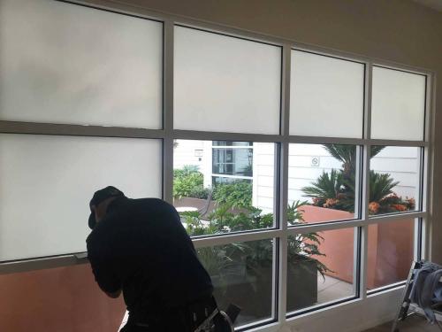 Frosted_Privacy_Window_Film_Cupertino_ClimatePro_1